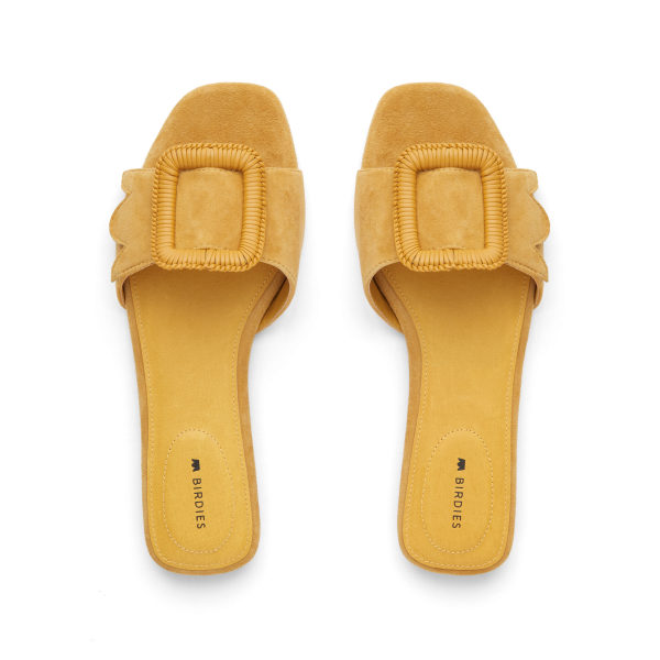 The Kiwi - Sunflower Suede